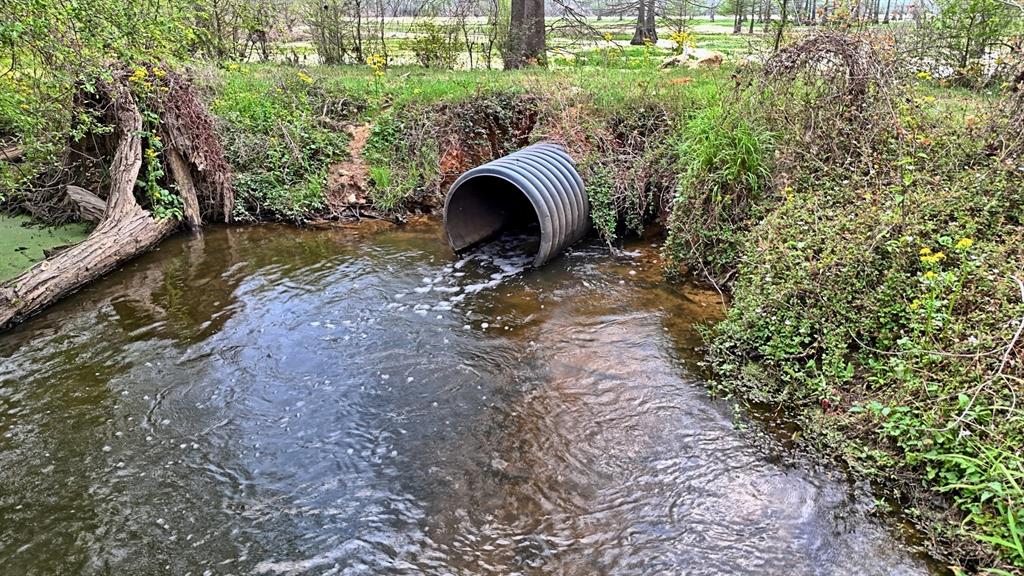 Tbd County Rd 401 Property Photo 39