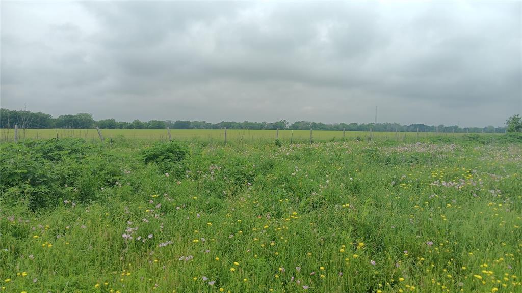 Tbd Cr494 N Property Photo 1