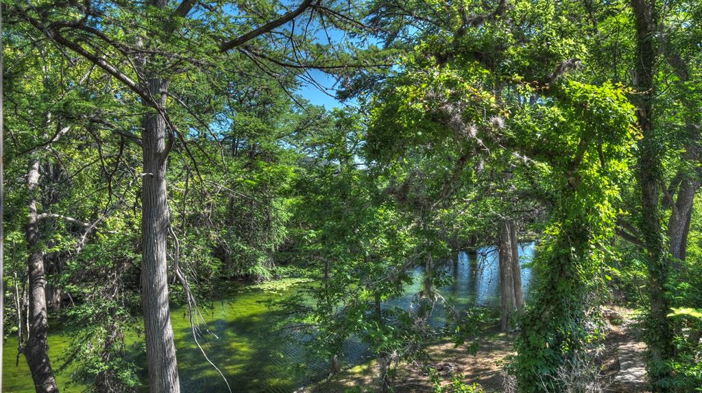 187 N Roy Chisum Road Property Photo 6