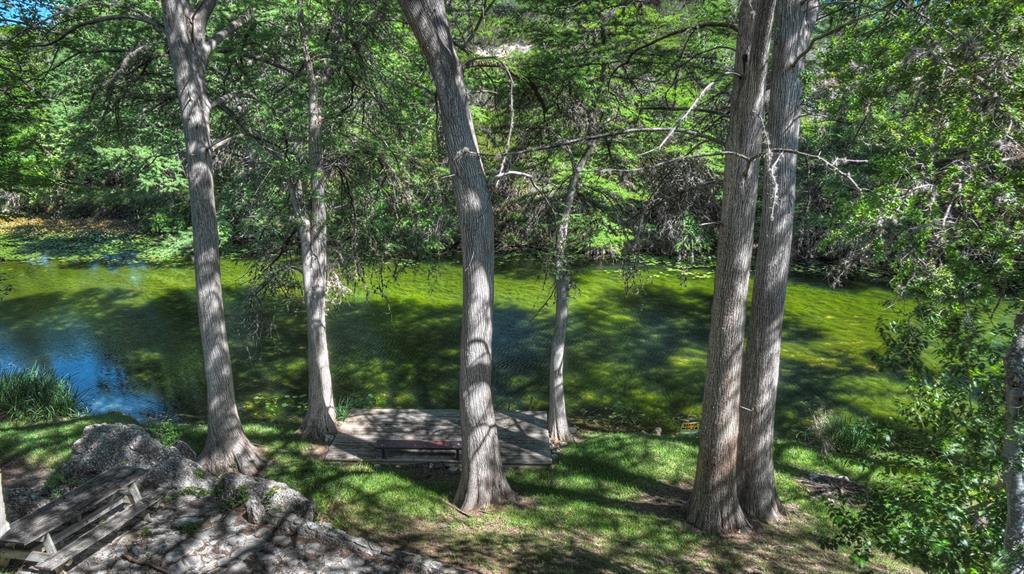 187 N Roy Chisum Road Property Photo 37