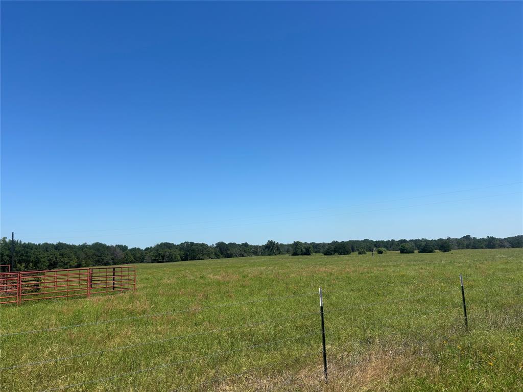 296 Lcr 806 Property Photo 17