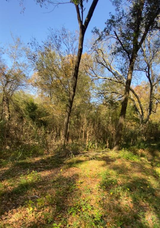 11543 St Hwy 19 Property Photo 17