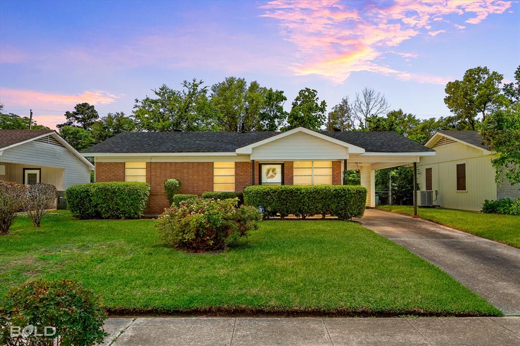 541 Sally Ann Drive
