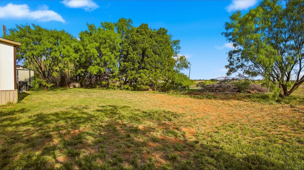 10902 County Road 414 Property Photo 6