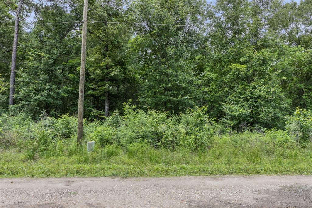 19116 Surrey Property Photo 1