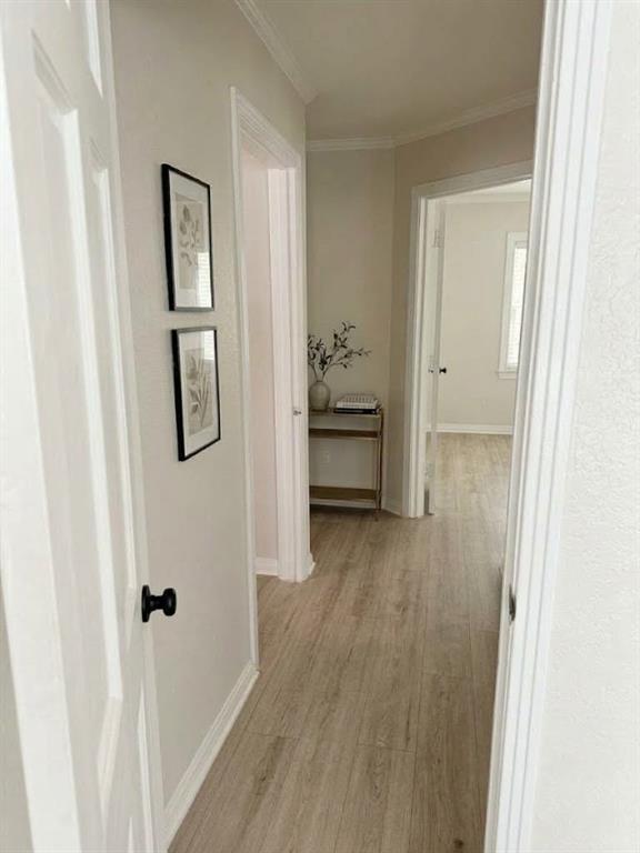 3108 S 3rd Street Property Photo 9