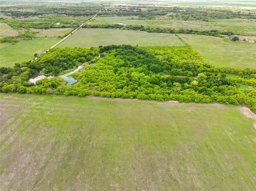 Tbd County Road 159 Property Photo 4