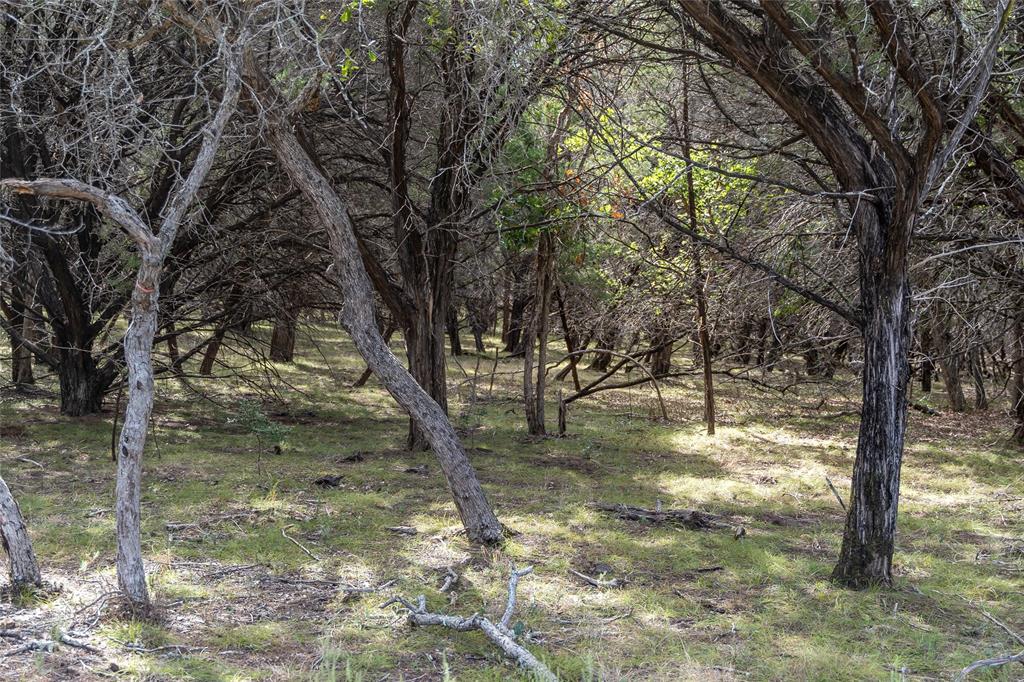 1934 Live Oak Cemetery Road Property Photo 6