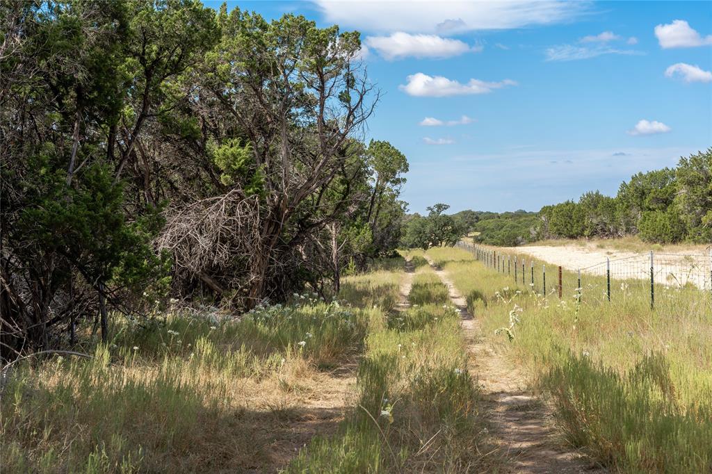 1934 Live Oak Cemetery Road Property Photo 16