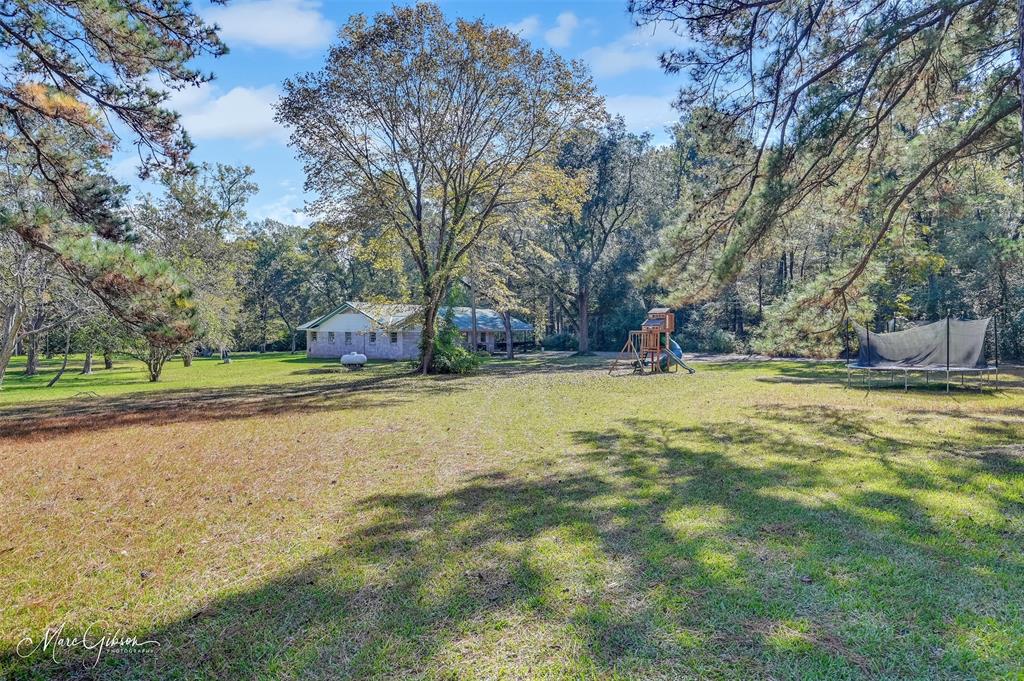 135 Poverty Point Property Photo 18
