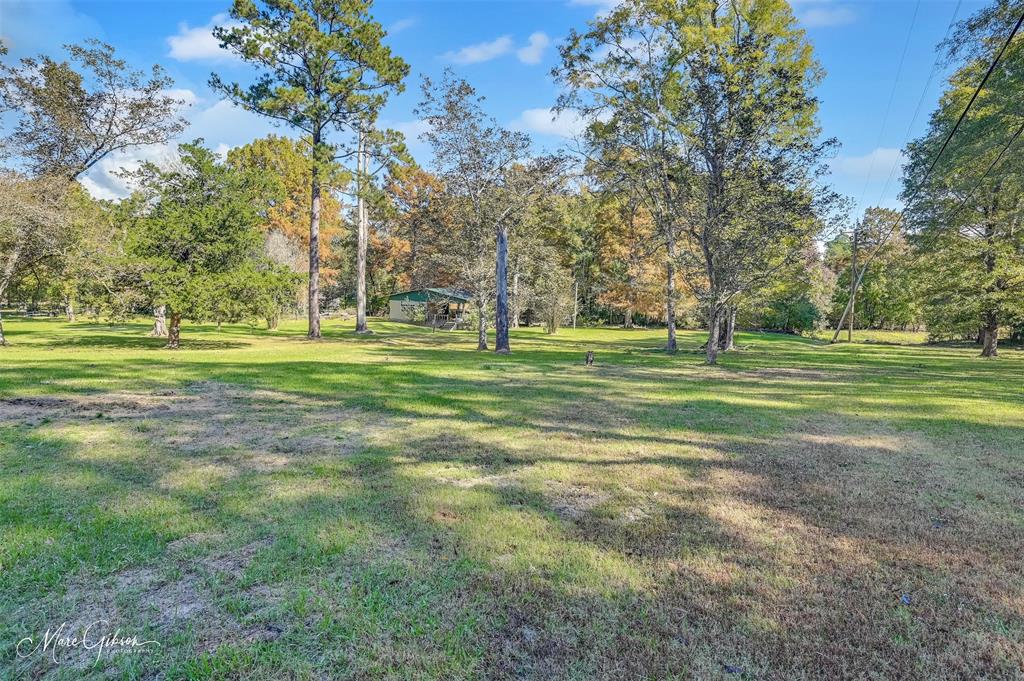 135 Poverty Point Property Photo 24