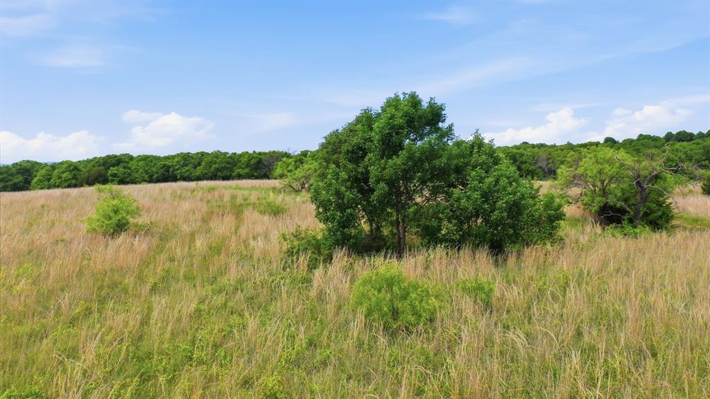 2051 Mustang Ridge Property Photo 10