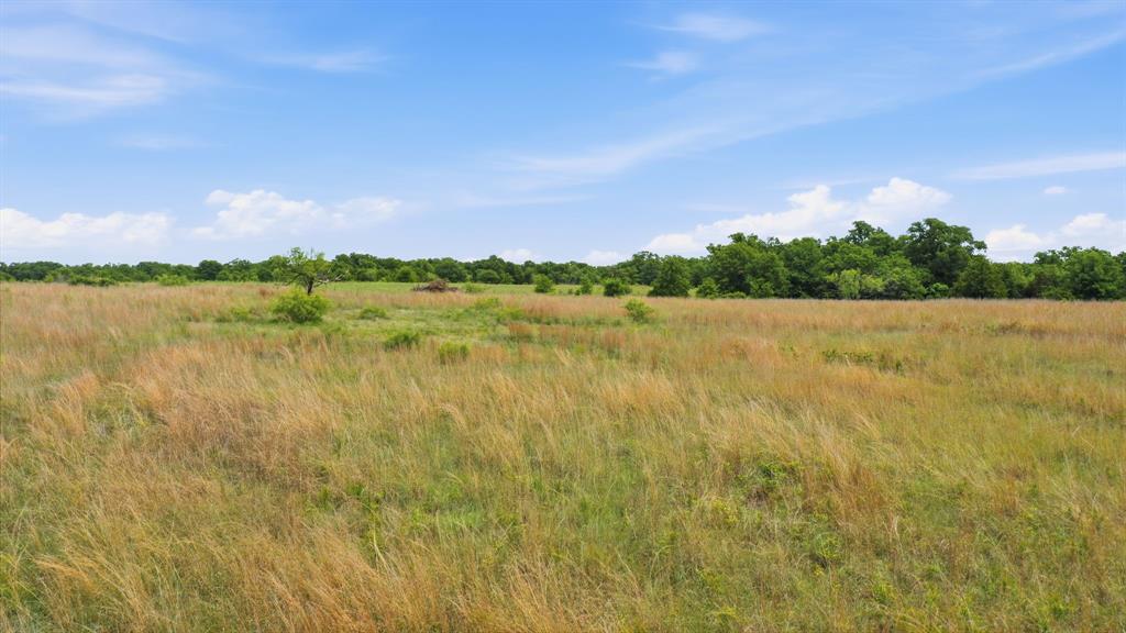 2051 Mustang Ridge Property Photo 12