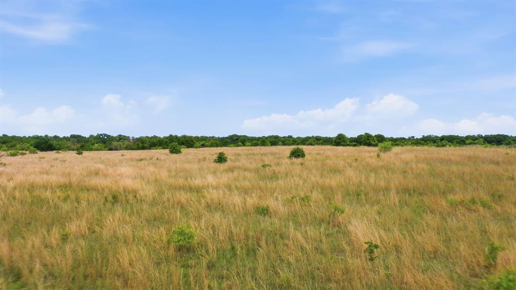 2051 Mustang Ridge Property Photo 15