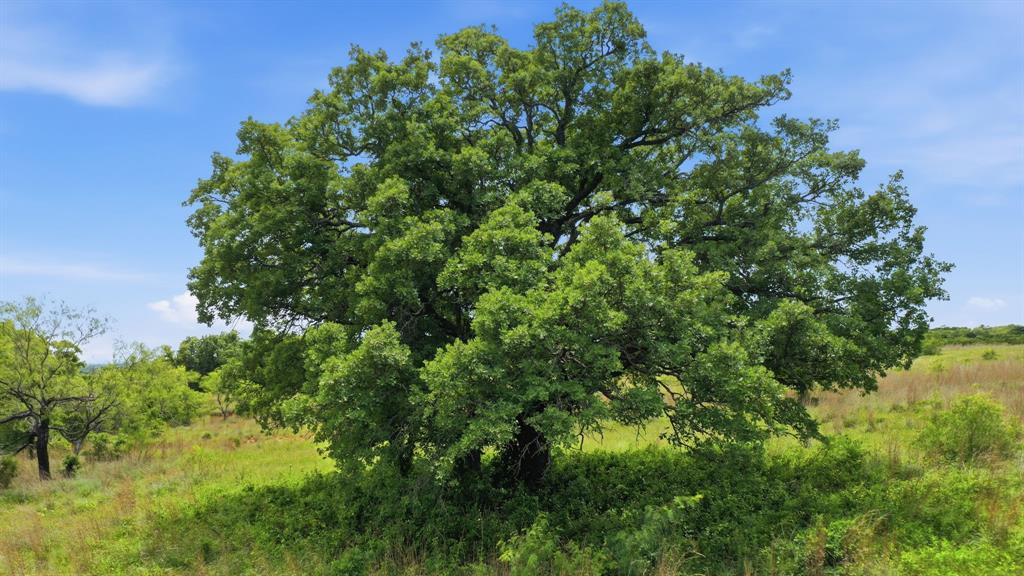 2051 Mustang Ridge Property Photo 22
