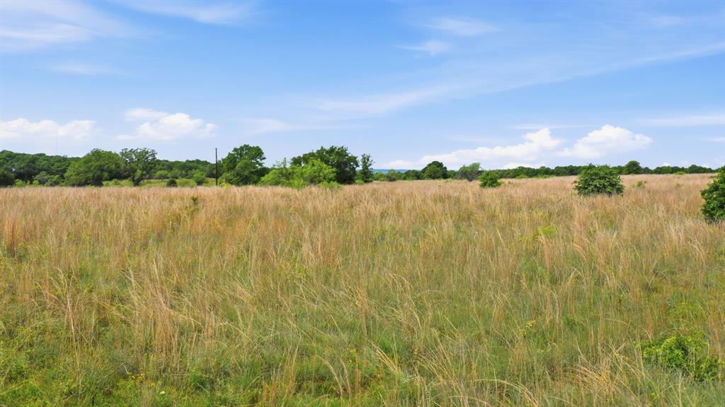 2051 Mustang Ridge Property Photo 24