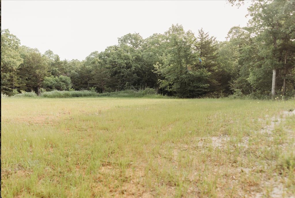 137 Yucatan Village Court Property Photo 1