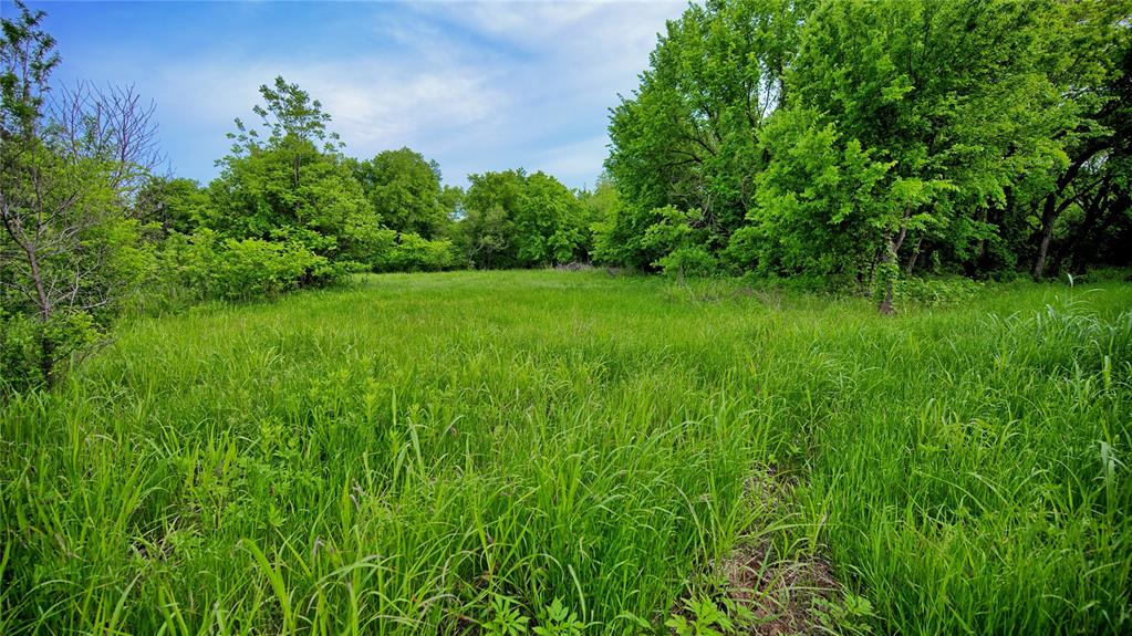 6500 Barrel Springs Road Property Photo 17