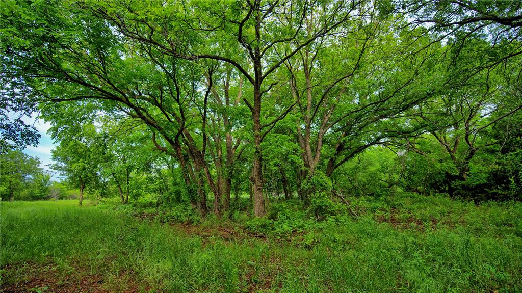 6500 Barrel Springs Road Property Photo 19