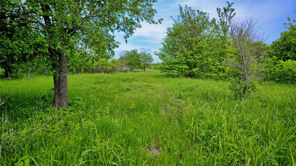 6500 Barrel Springs Road Property Photo 31