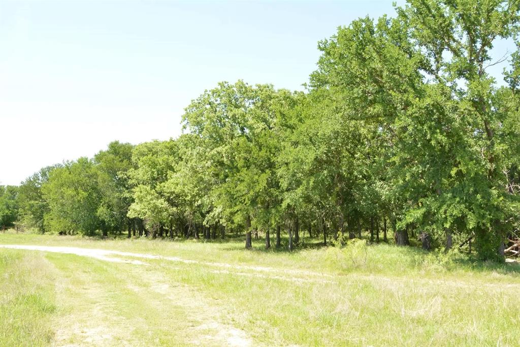 138 Pr 3417 Property Photo 37