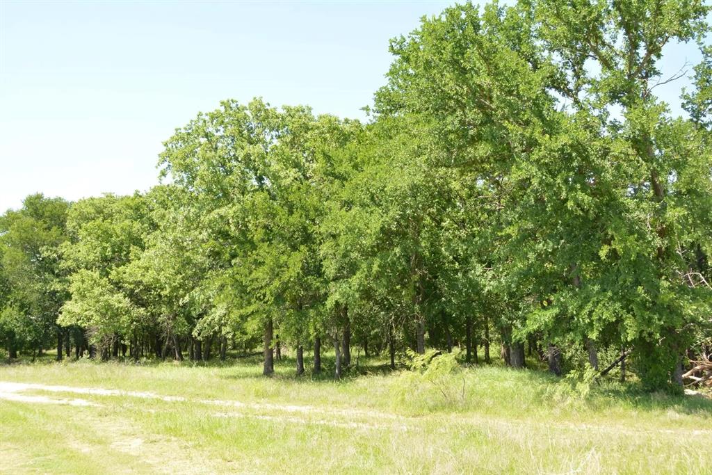 138 Pr 3417 Property Photo 40