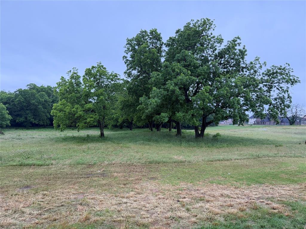 2191 Business Highway 377 Property Photo 7