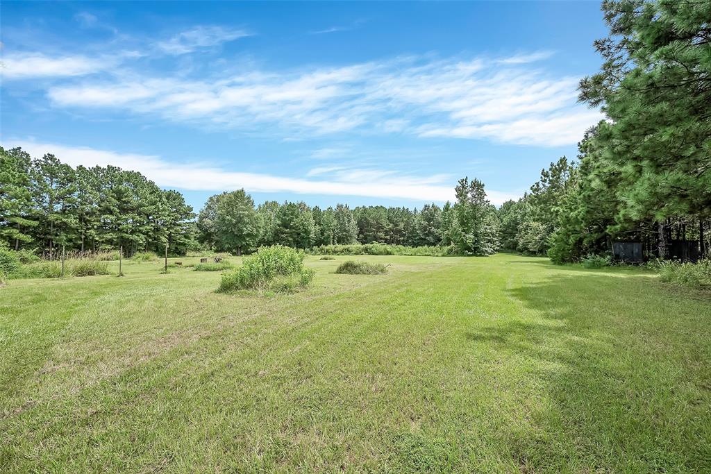 368 Sneed Road Property Photo 3