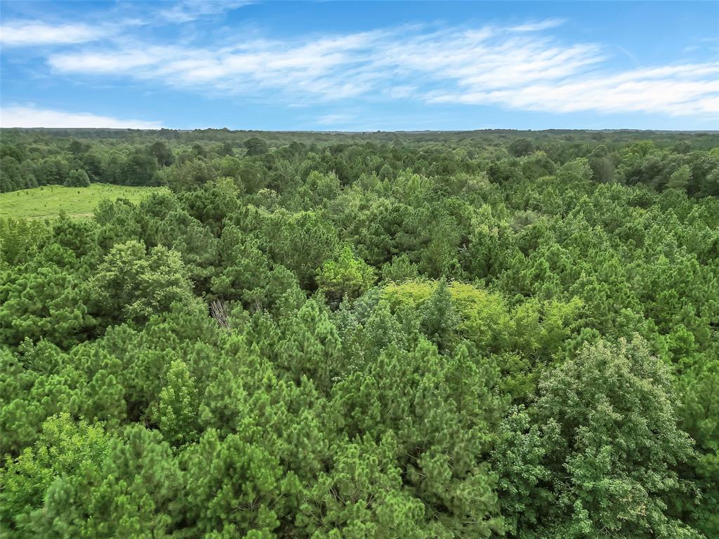 368 Sneed Road Property Photo 5