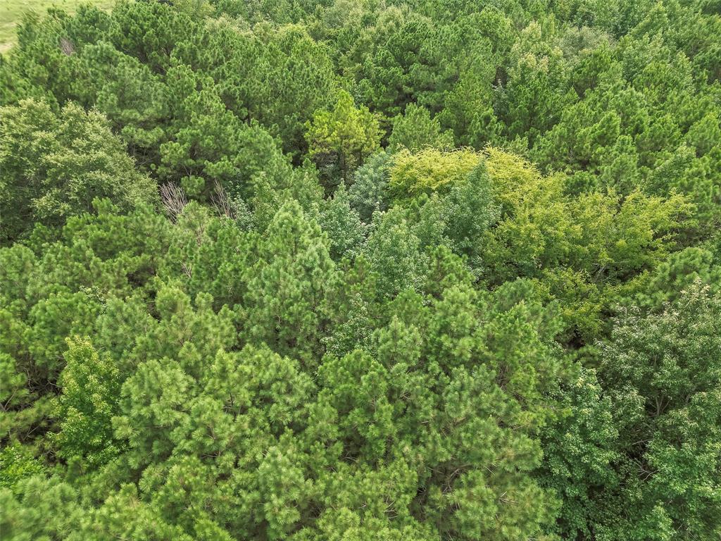 368 Sneed Road Property Photo 6