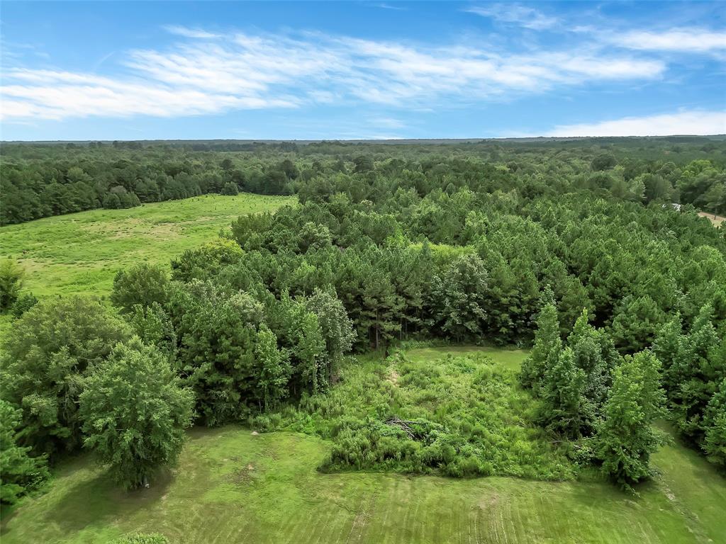 368 Sneed Road Property Photo 9