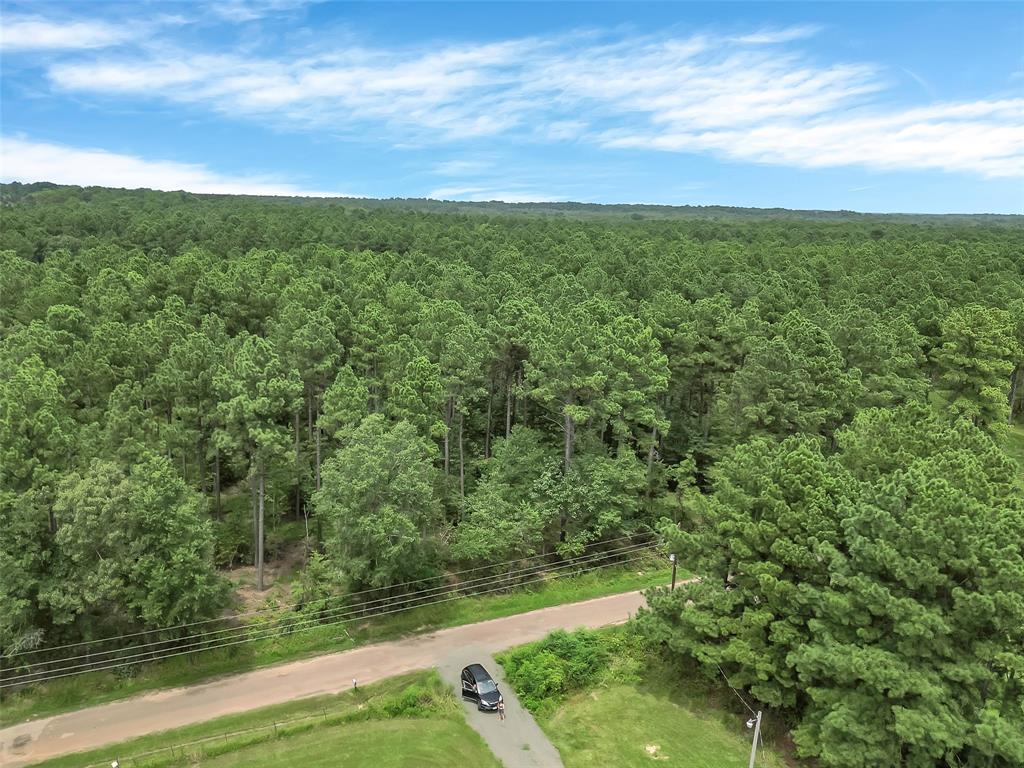368 Sneed Road Property Photo 16