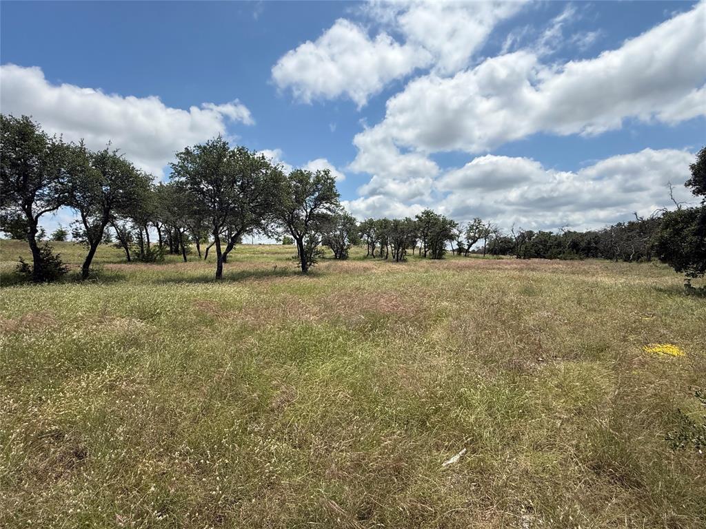 10131 Horizon View Property Photo 1