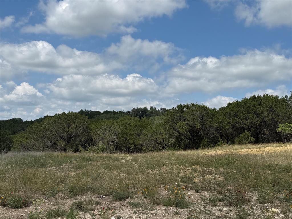 10151 Horizon View Property Photo 3