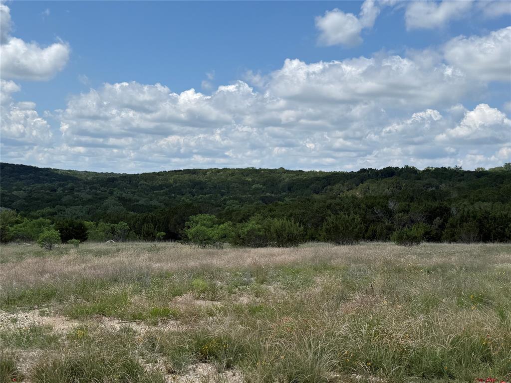 10151 Horizon View Property Photo 4