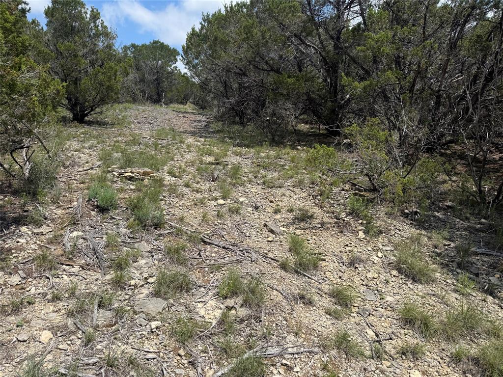 10151 Horizon View Property Photo 6
