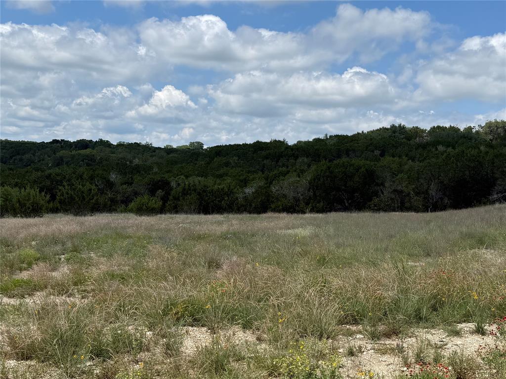 10151 Horizon View Property Photo 9