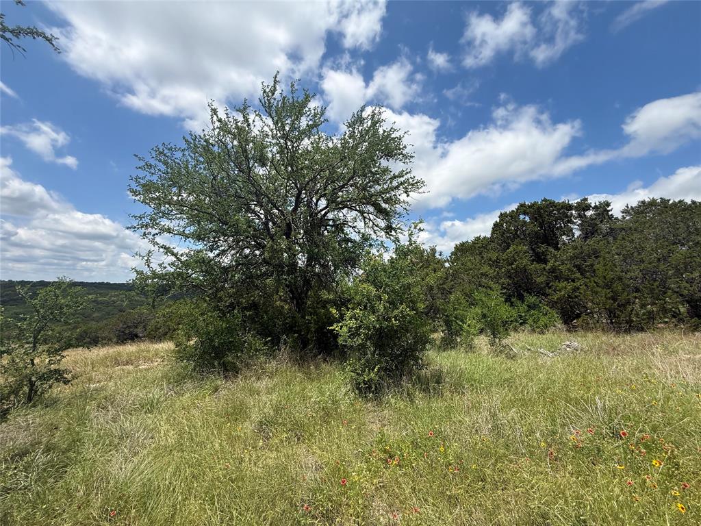 10151 Horizon View Property Photo 13