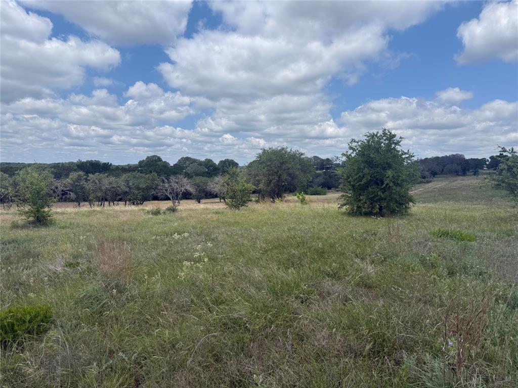 10151 Horizon View Property Photo 15