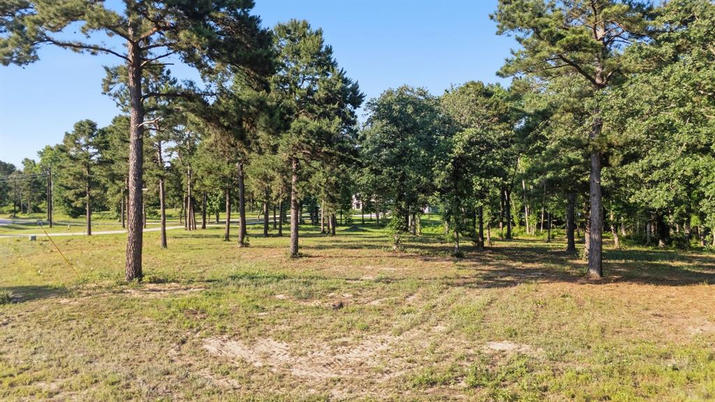 3132 Shadow Pine Drive Property Photo 4