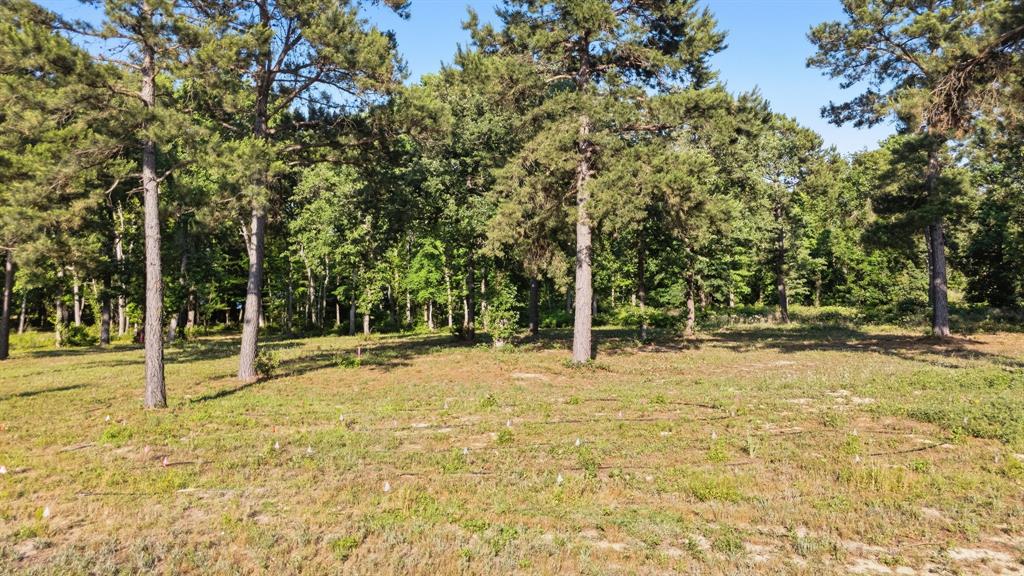 3132 Shadow Pine Drive Property Photo 5
