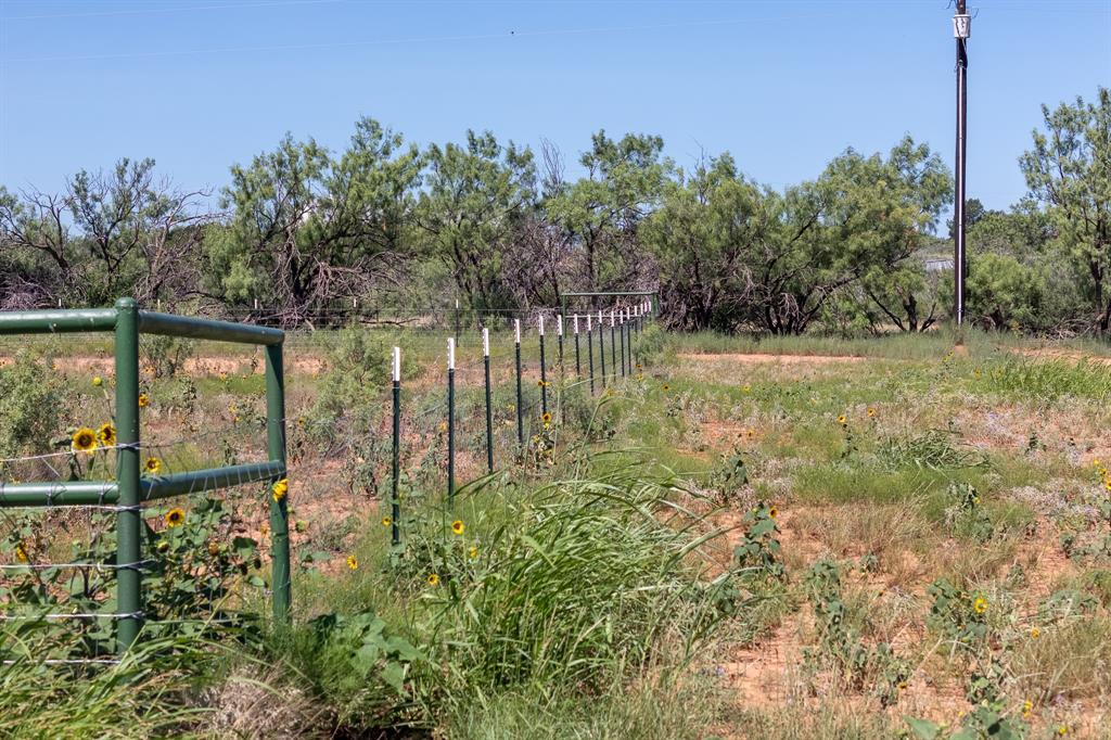439 County Road 321 Property Photo 9