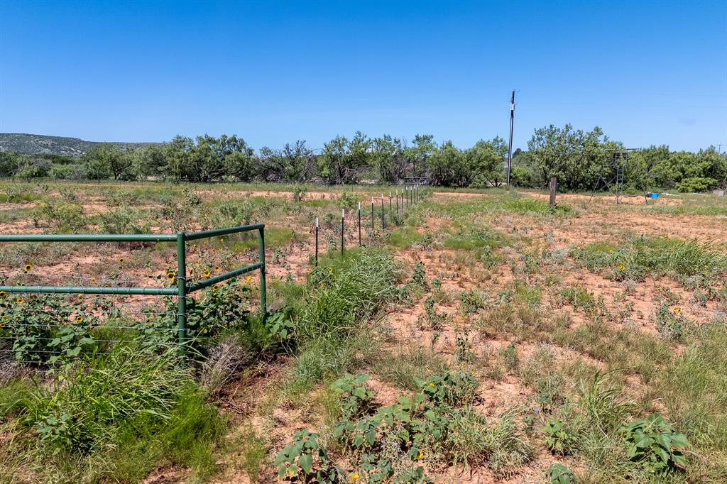 439 County Road 321 Property Photo 10