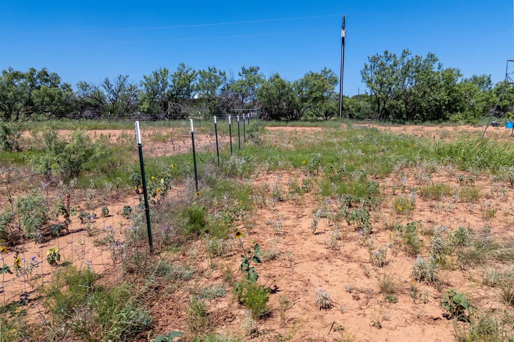 439 County Road 321 Property Photo 14
