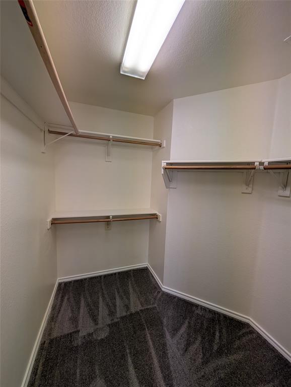 4321 Brinker Court Property Photo 18