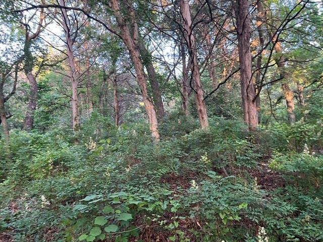 1878 W Belt Line Road Property Photo 4