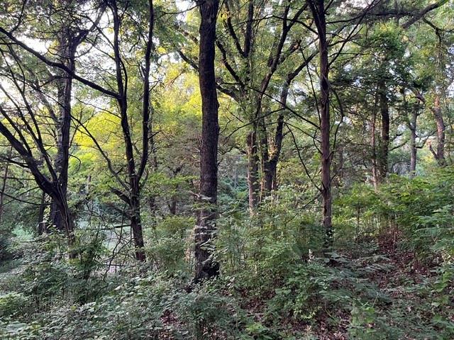 1878 W Belt Line Road Property Photo 5