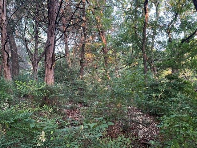1878 W Belt Line Road Property Photo 6