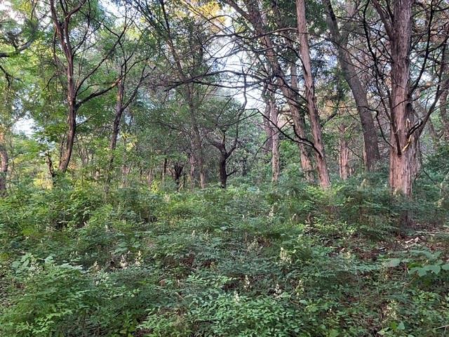 1878 W Belt Line Road Property Photo 7