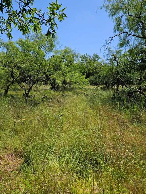404 Highway 6 Property Photo 5